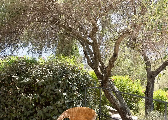 Marinarca Sitew Vecchio Marina Di Fiori Vue Piscine Chauffee Clim A Pied Tennis Porto-Vecchio (Corsica)